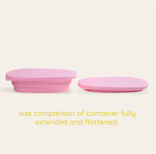 Collapsible/Foldable Food Container (BPA Free)